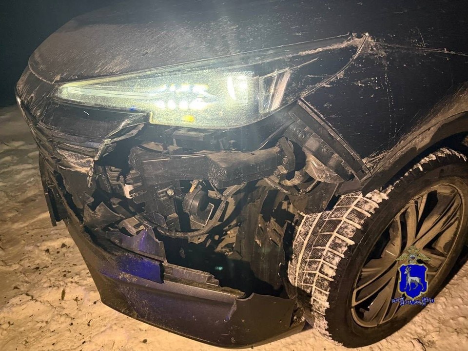    Фото: ГУ МВД России по Самарской области