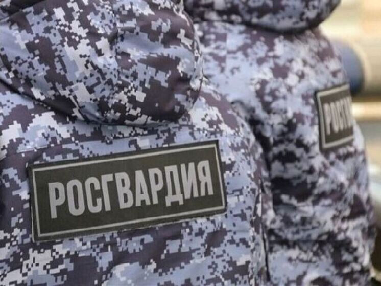     Фото: пресс-служба ГУ Росгвардии по Петербургу и Ленобласти.