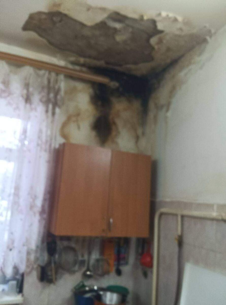    фото: Администрация Курска