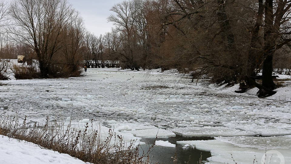 Поисковики «ЛизаАлерт» обучат новичков в Волгограде