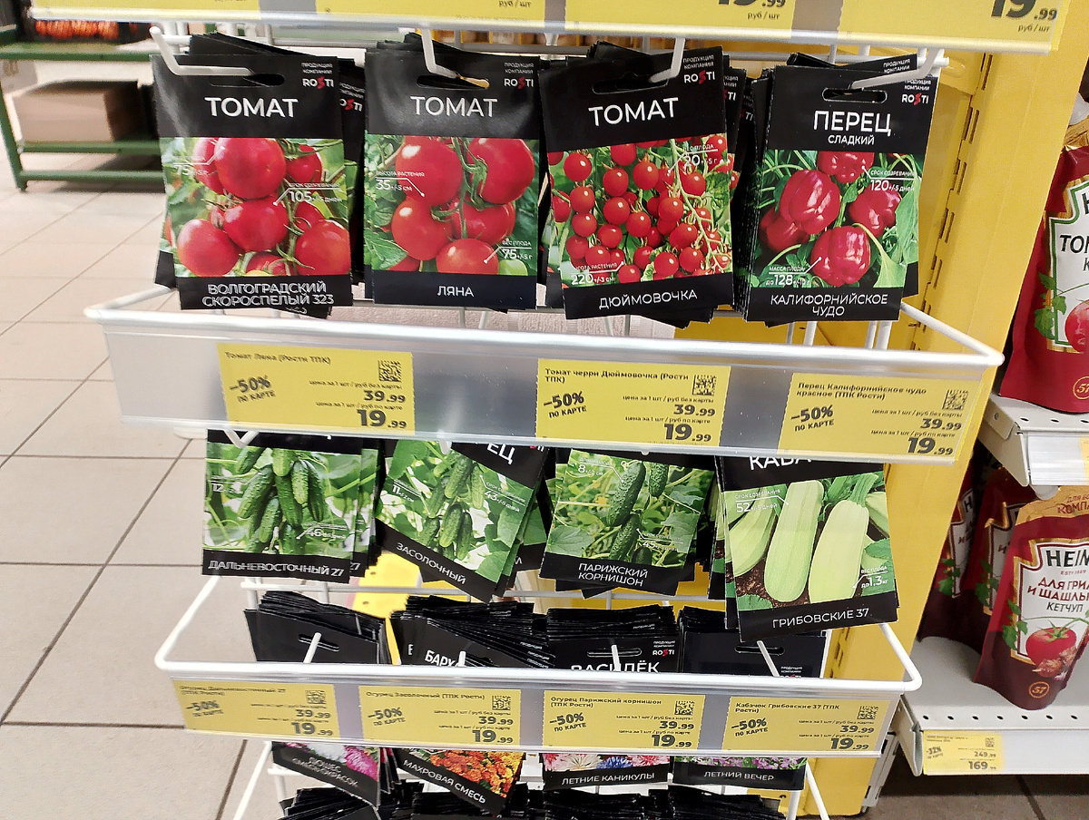 Личное фото автора