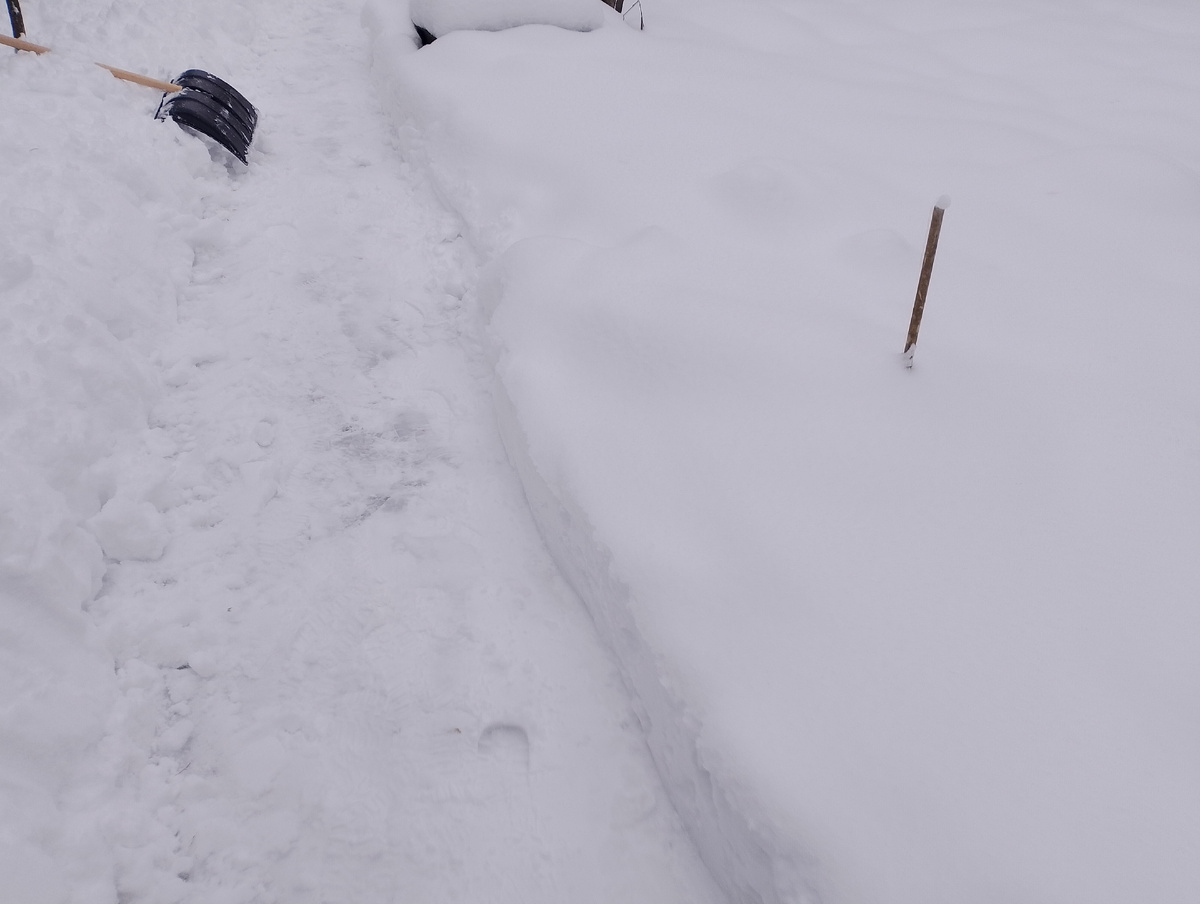 Где-то там летом растут помидоры и перец. 