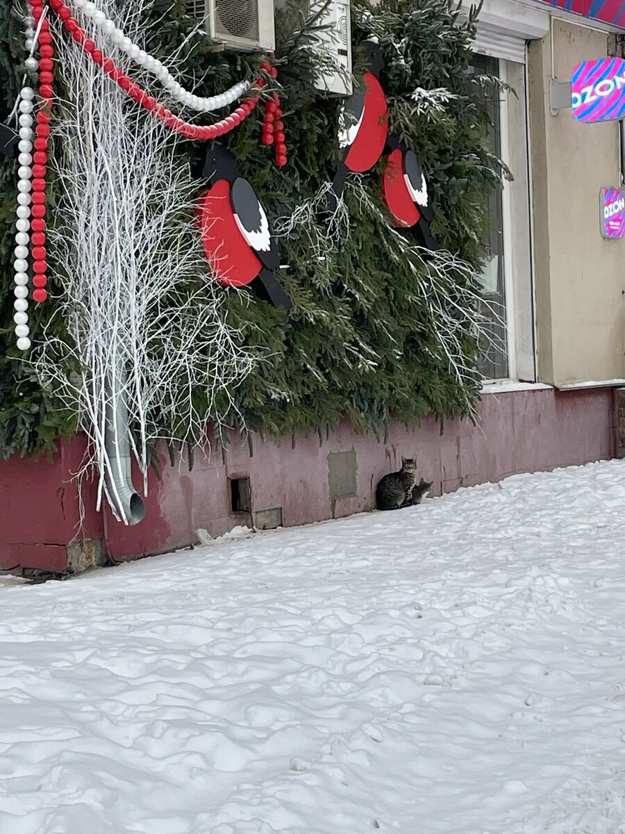 Фото автора