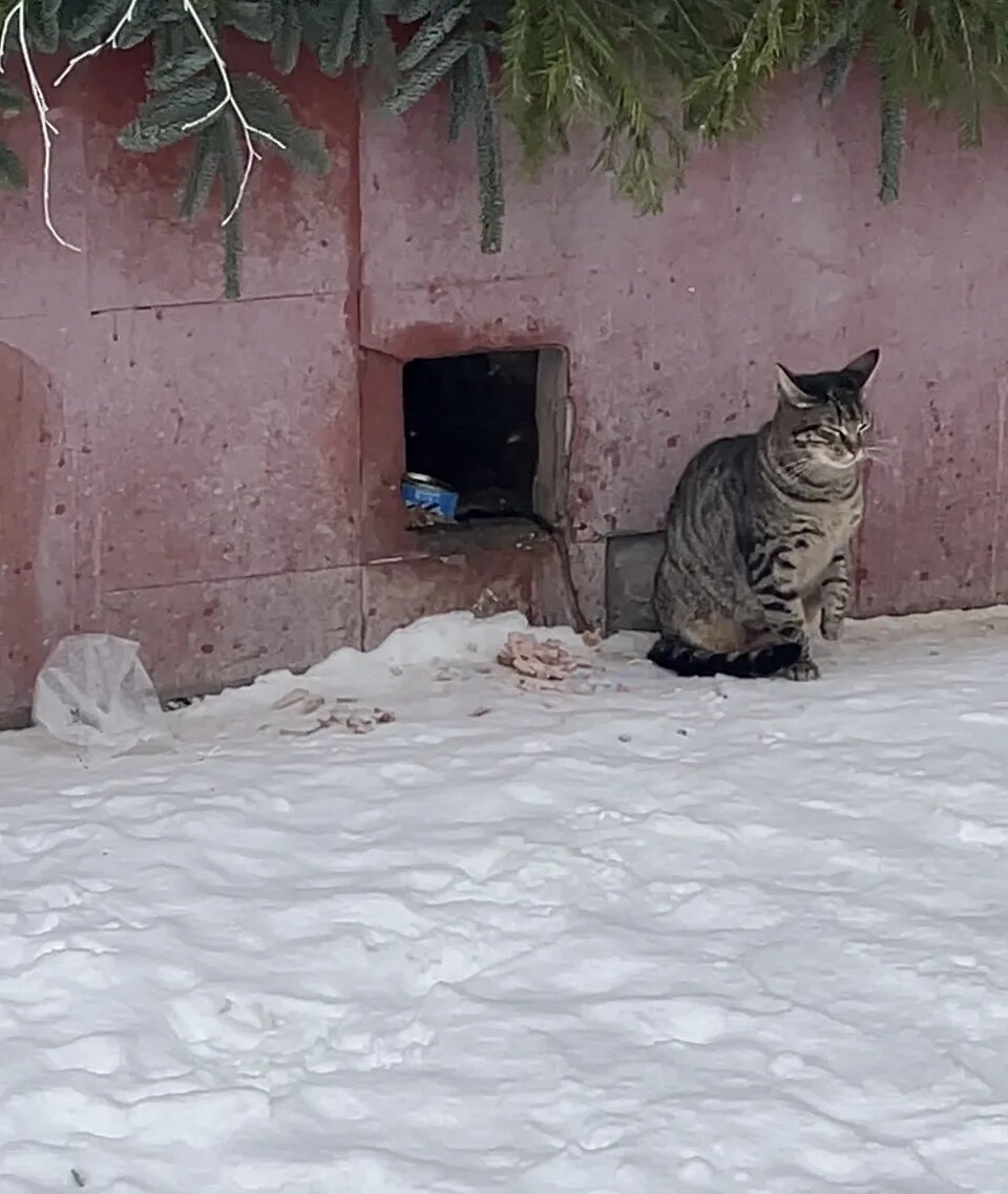 Фото автора