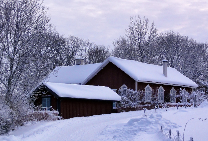 фото: pxhere.com