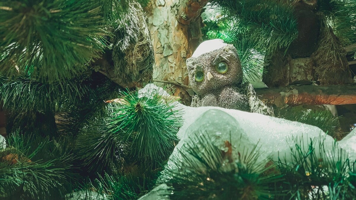 Одна из главных причин постпраздничного упадка — идеализация каникул. Фото: Ксения Кобалия / 1MI