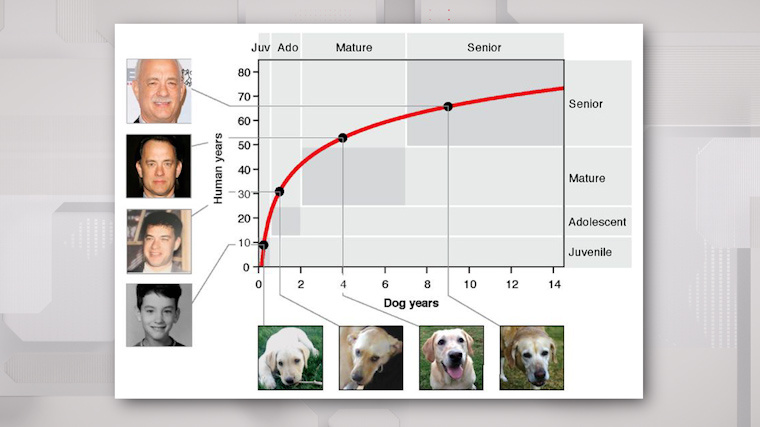    Фото: Открытый онлайн-репозиторий препринтов в области биологических наук/www.biorxiv.org