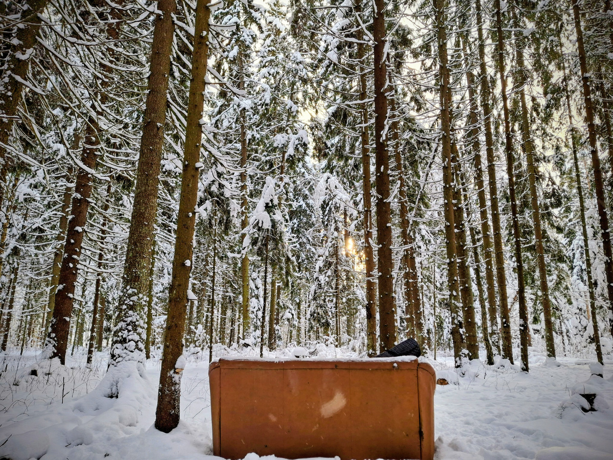 Диван в точке турслета МАИ в Некрасовском лесу. Фото автора.