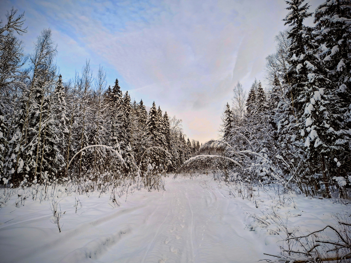 Где-то тут должны быть мишки. Фото автора.