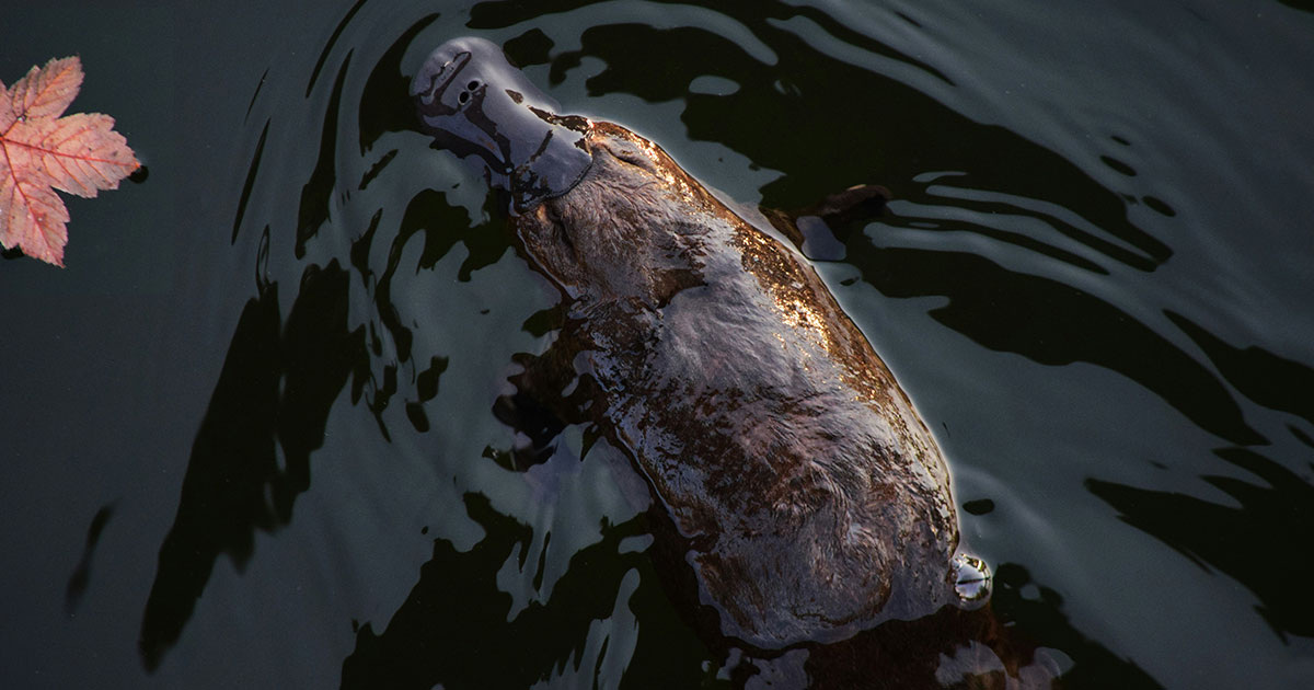 Michael Jerrard / Unsplash