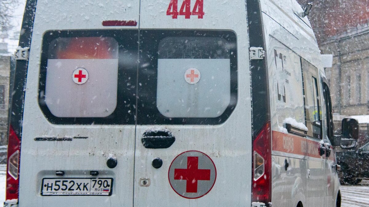    Фото: Svetlana Vozmilova/Global Look Press