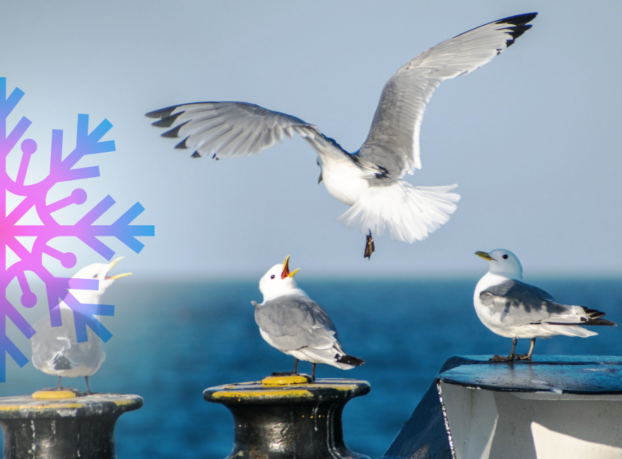 Фото: Владислав и Юлия Новиковы