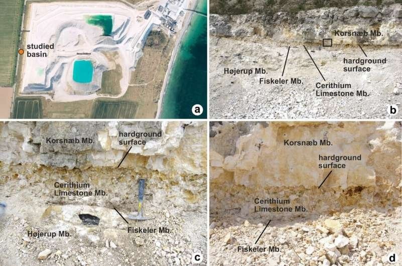    Географическая и геологическая обстановка бассейна церитиевых известняков, изученного в Сигерслеве. Источник: Scientific Reports (2025).