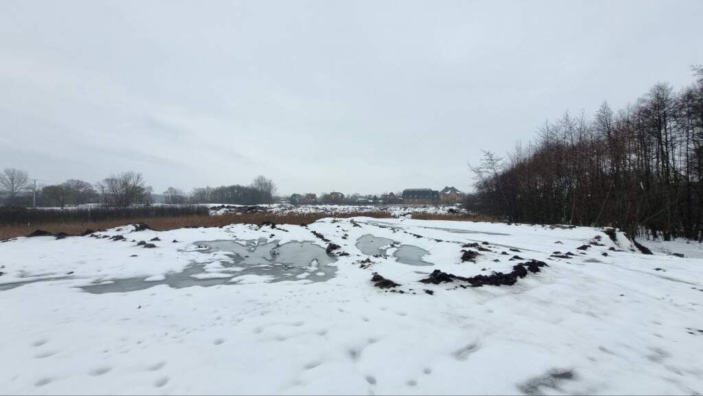    фото: тг-канал "Максим Левин"