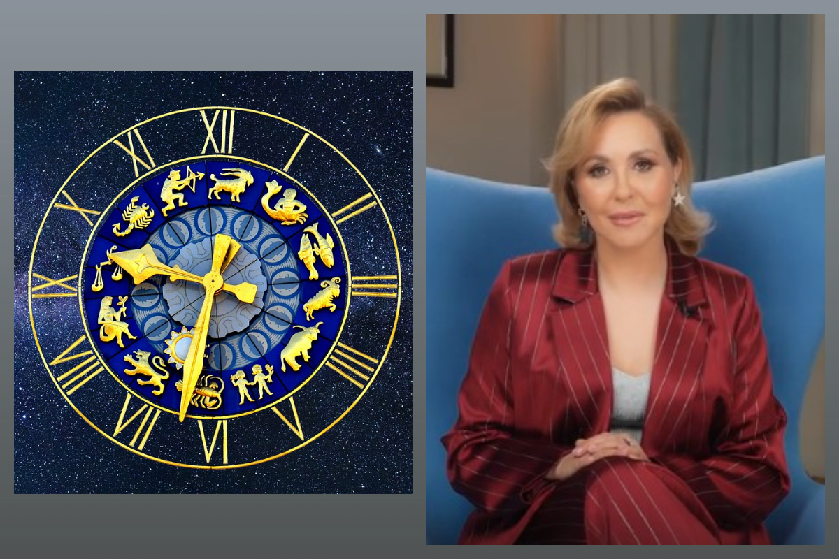 скрин с эфира Василисы Володиной, знки Зодиака/pixabay.com