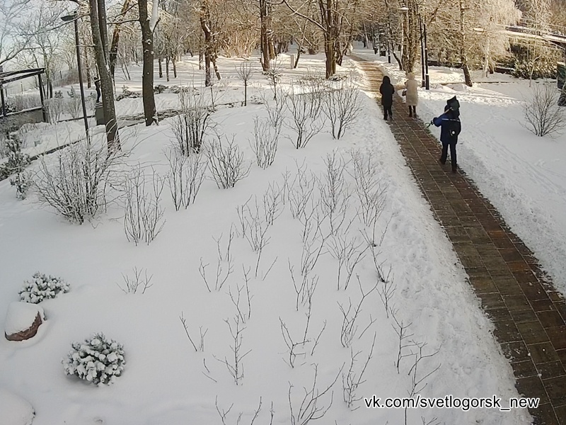 Светлогорск курортный, скриншот с веб-камеры, 08.01.2026