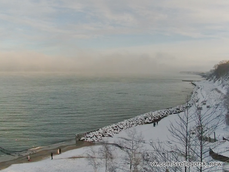 Светлогорск курортный, скриншот с веб-камеры, 08.01.2026