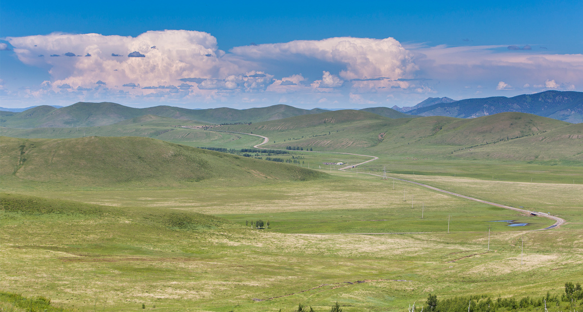 Яндекс-картинки.