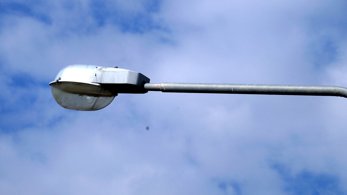    Фото: Сергей Егоров