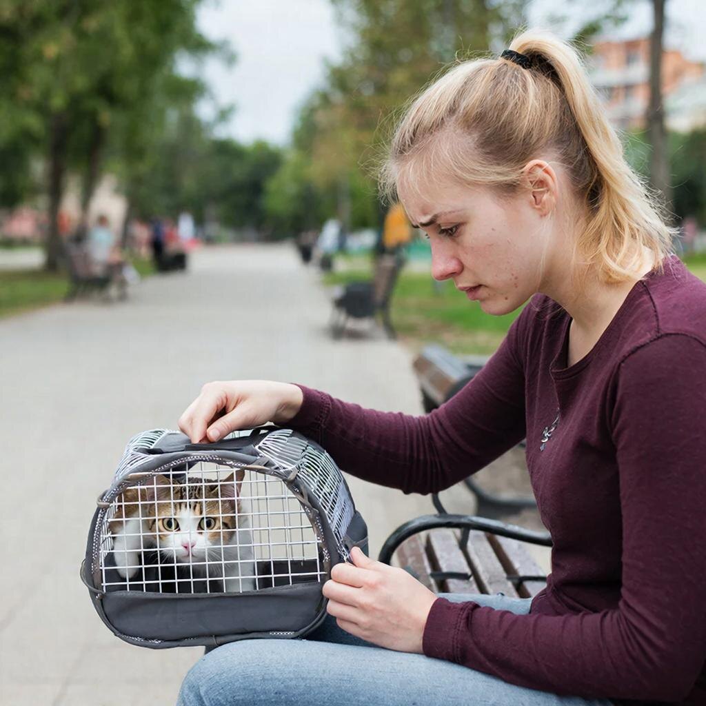 Отправляемся с Ласточкой в ветеринарную клинику на профилактический осмотр.
