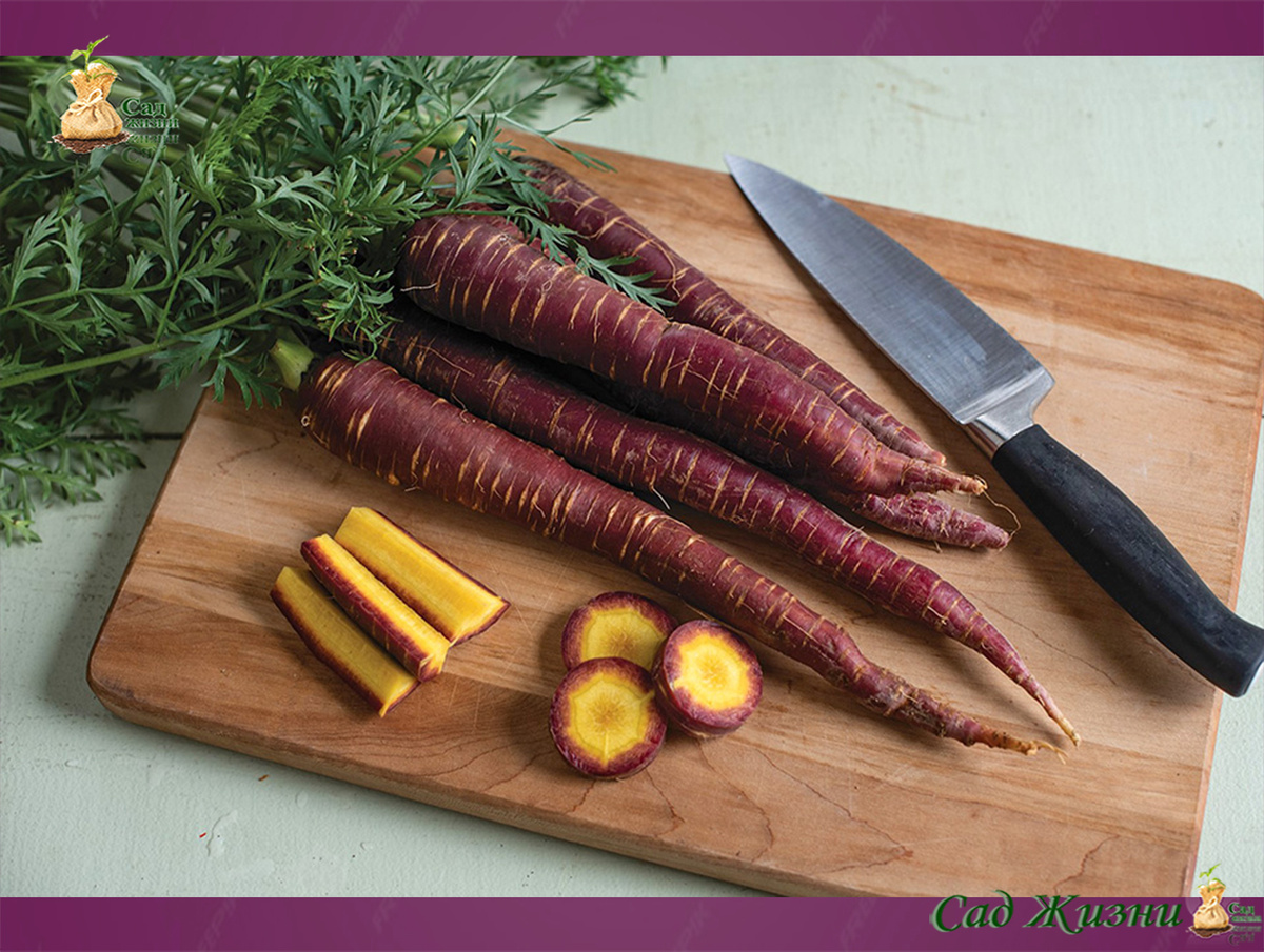 В разрезе цвет особенно заметен — без фильтров.