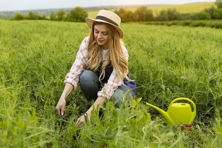 Изображение от fleepik