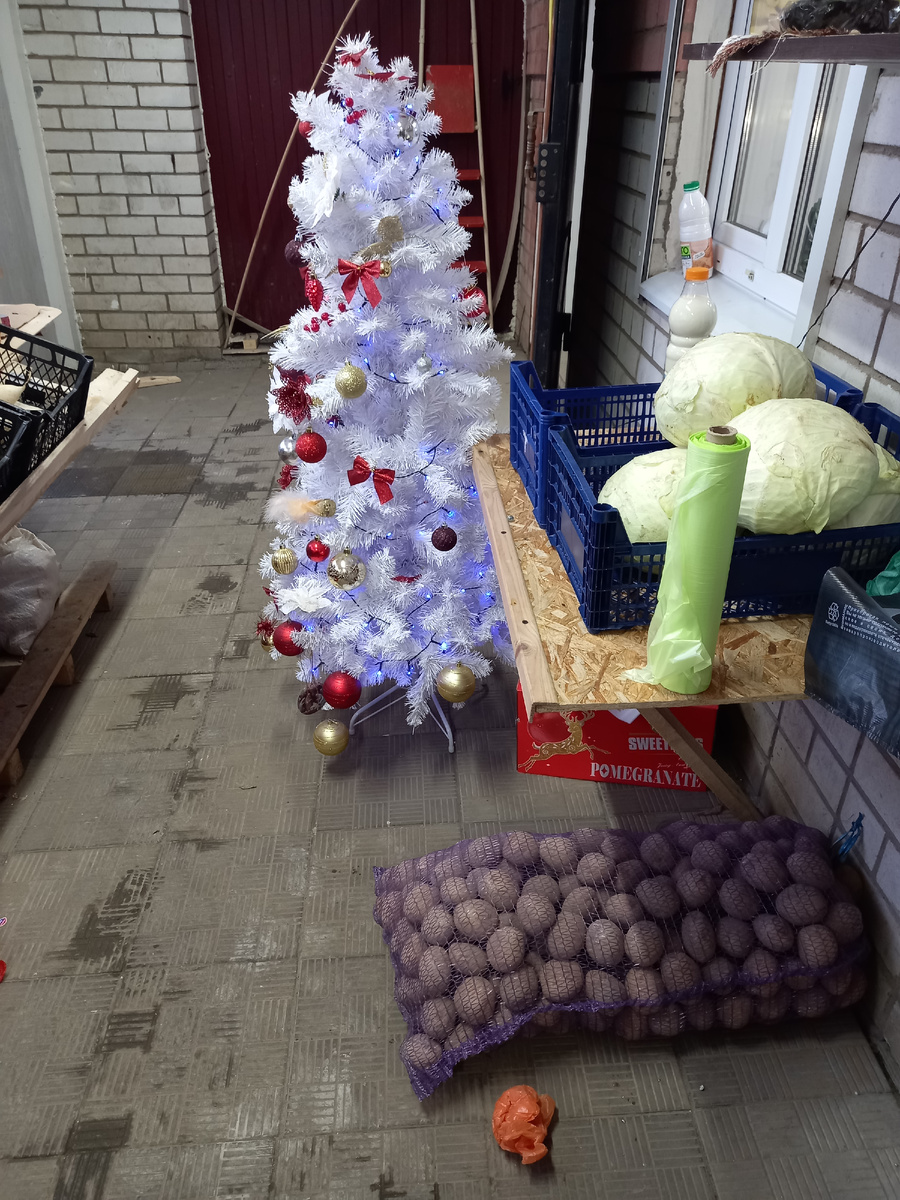 Самая неуместная елка по моему мнению. Фото автора возле автомата для покупки очищенной воды.