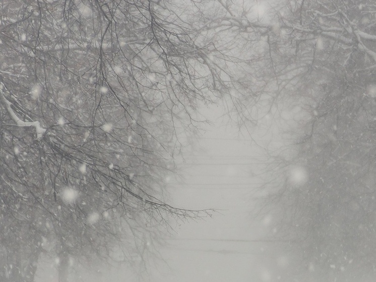     Фото МК в Рязани