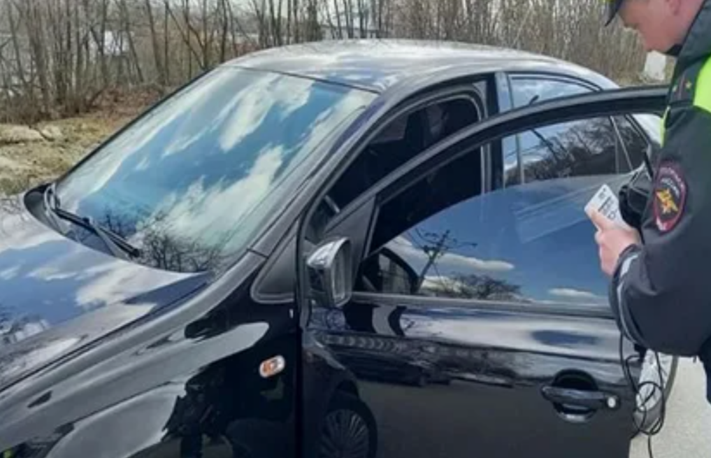    фото: zebra-tv.ru Редактор