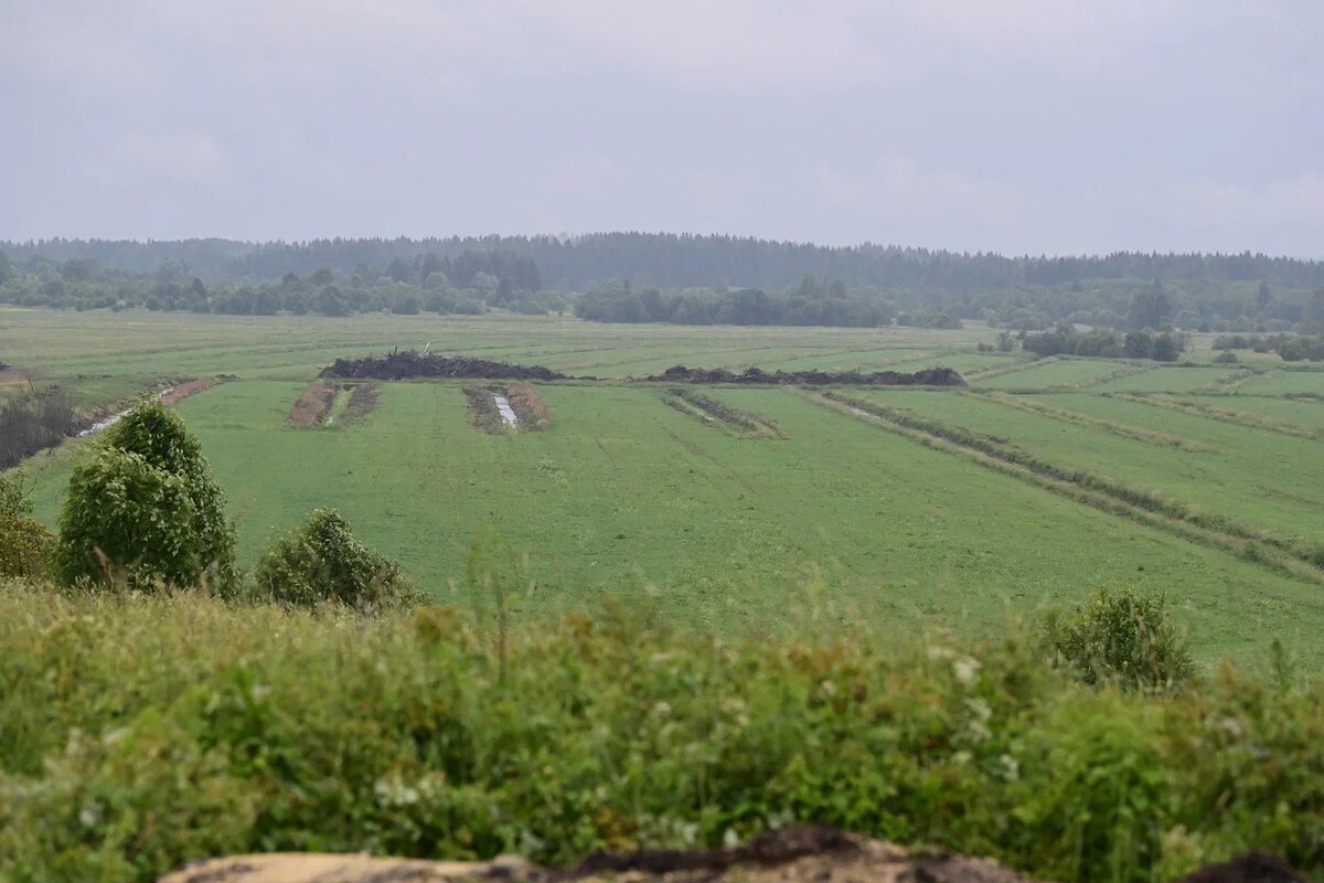    Мелиорация. Фото: "Республика"/Сергей Юдин