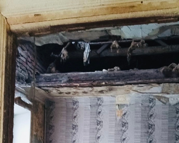     В Курске на Литовской в доме обрушился потолок из-за протекания