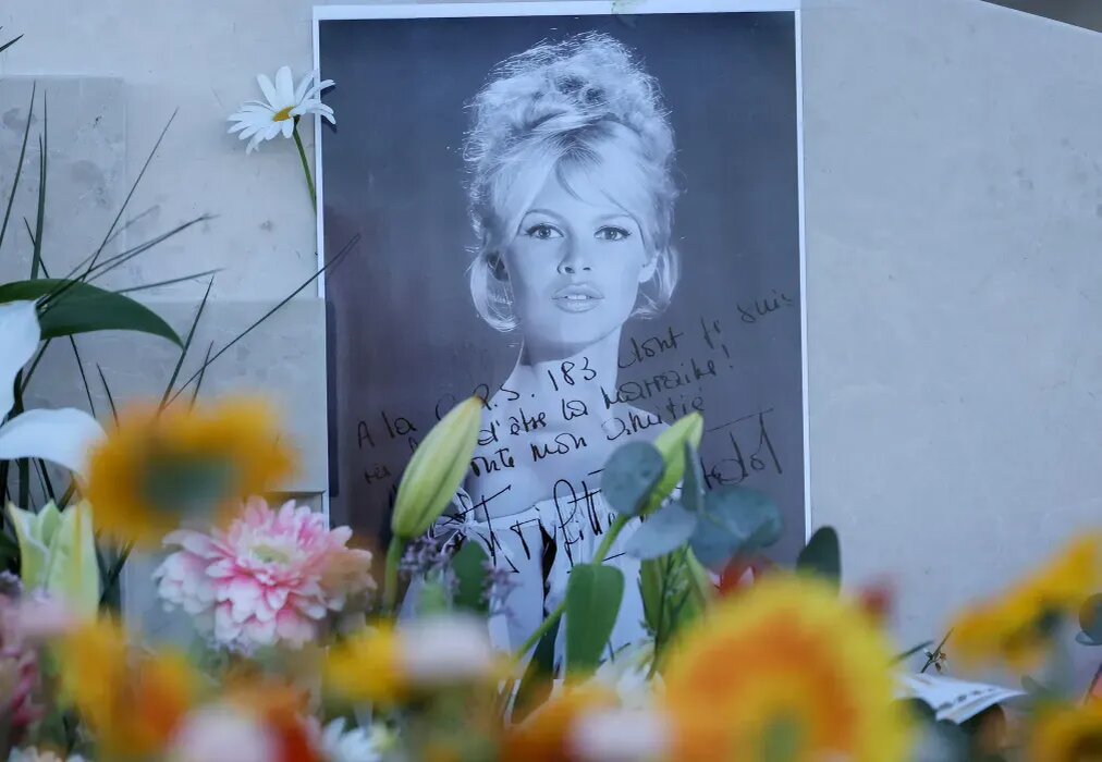 фото из открытых источников