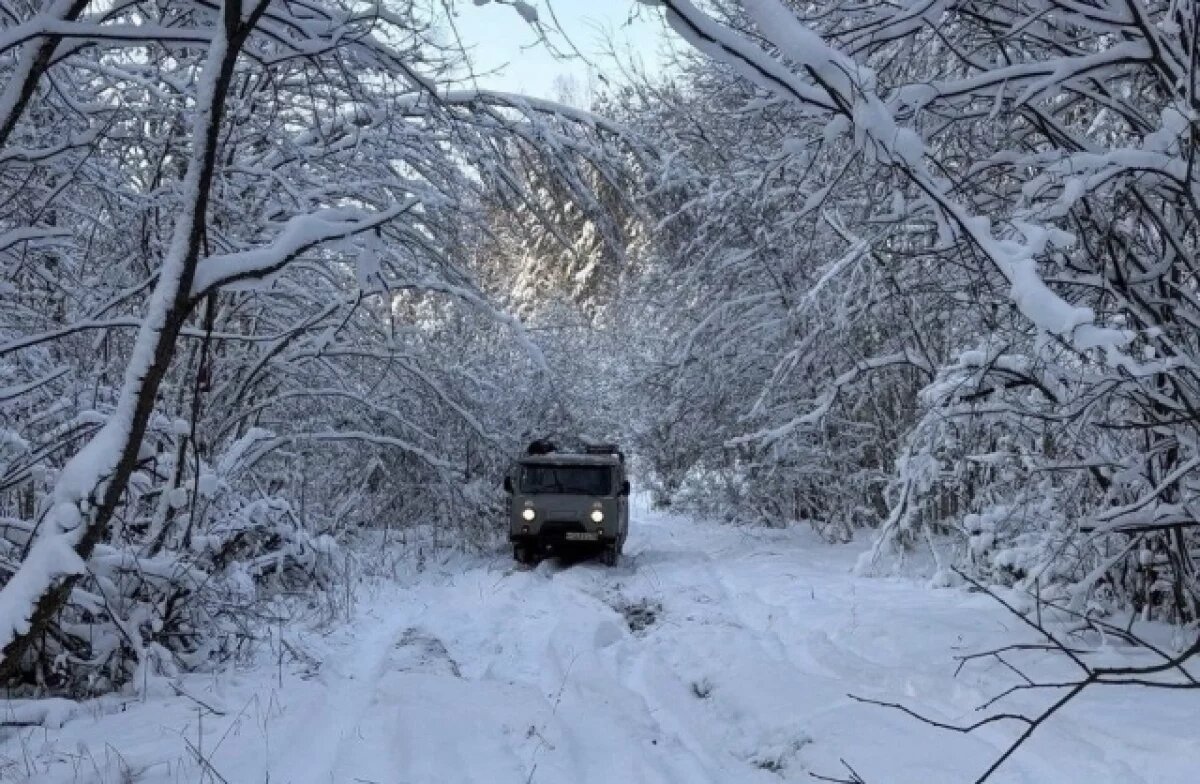    Энергетики Ярославля готовятся к новому снегопаду