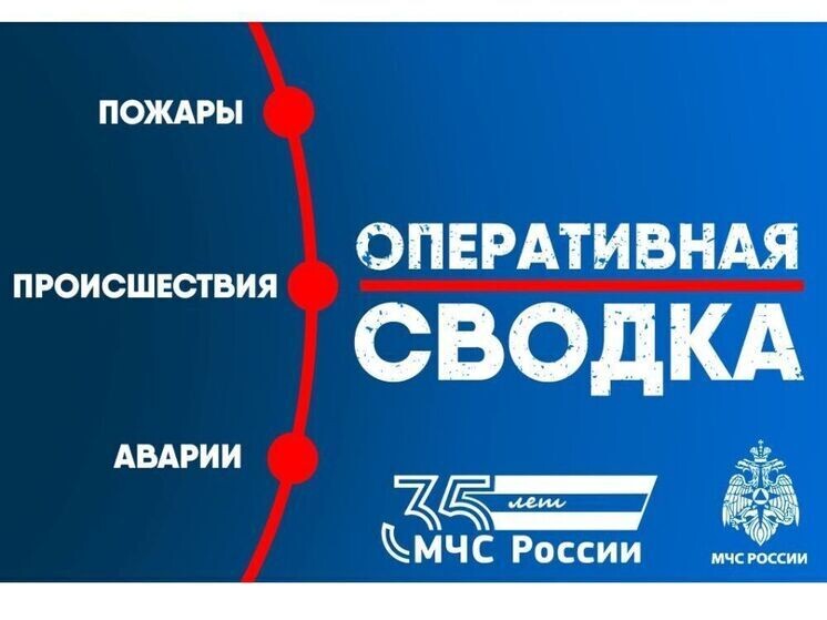     Фото: vk.com/mchs_smolensk