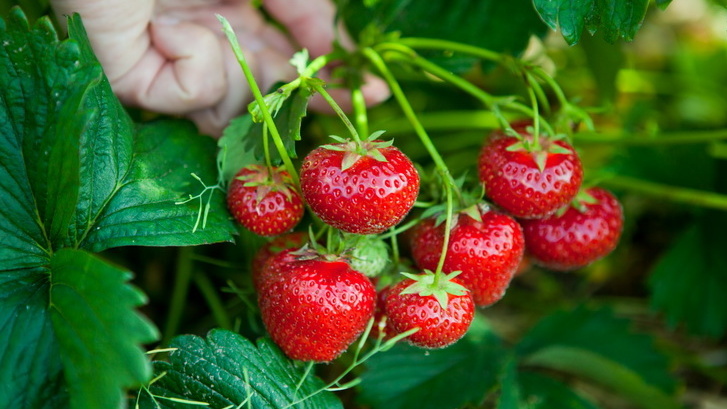 Результат метода с газетами