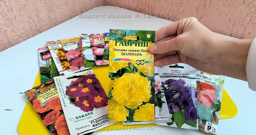 Что садить в январе