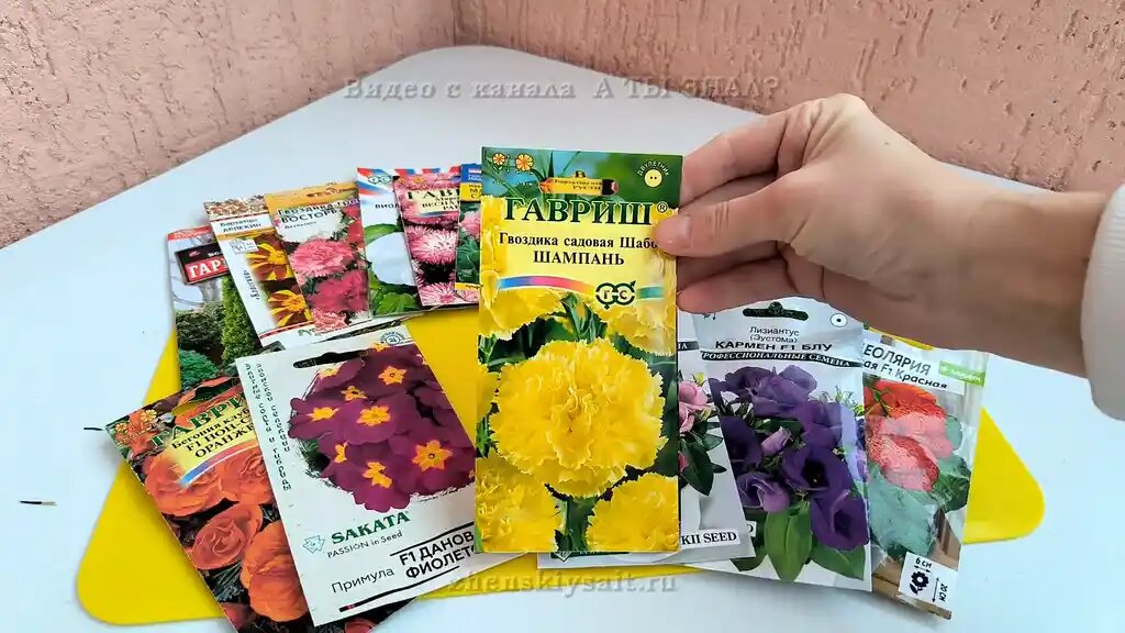 Январь — время для особой группы растений