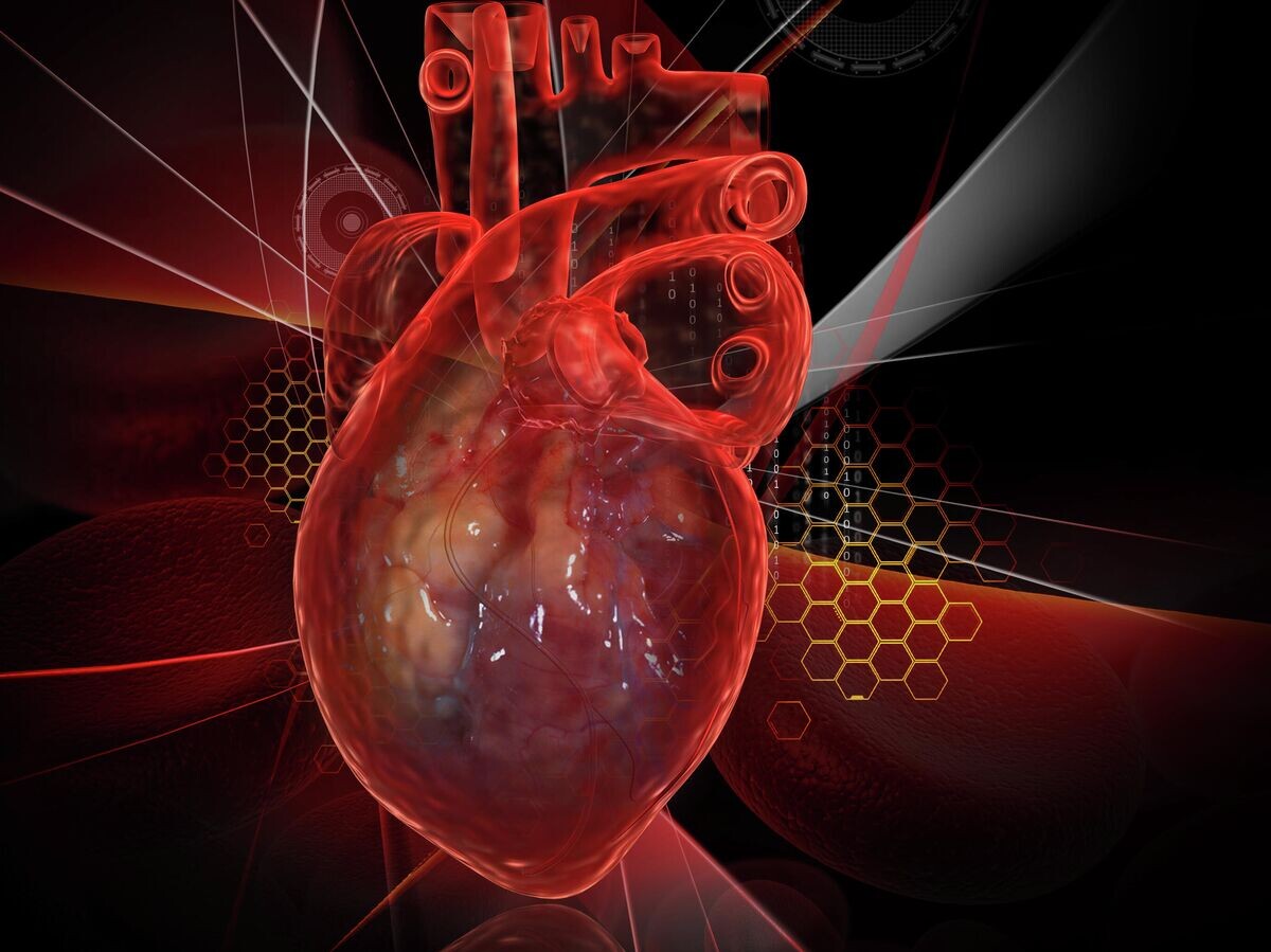    Человеческое сердце с ЭКГ | © Depositphotos.com / rbhavana