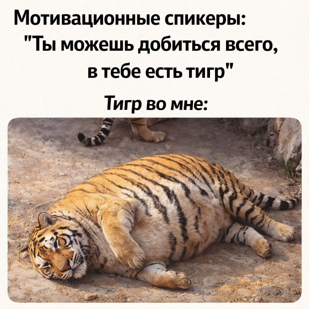 Тигр хочет есть и спать))