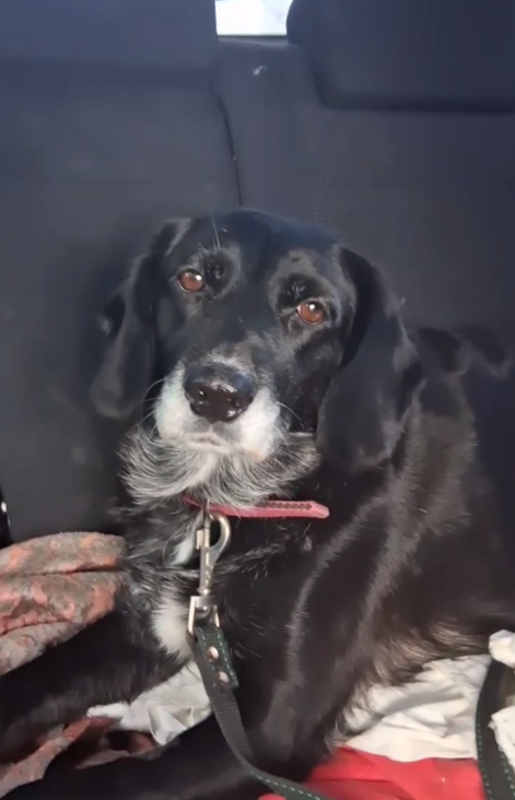 Надо потерпеть Дорочка...