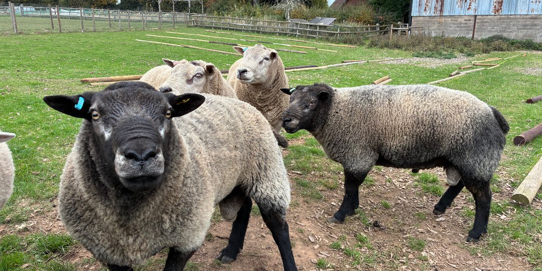 Пироговый квест: переосмысливаю классический коттедж-пай