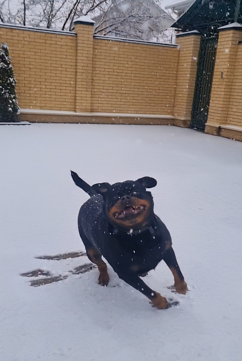 Урааа,  год Новый наступил!