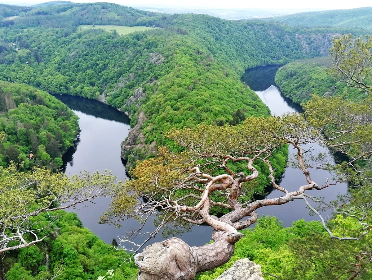 Фото nadja svajkina 