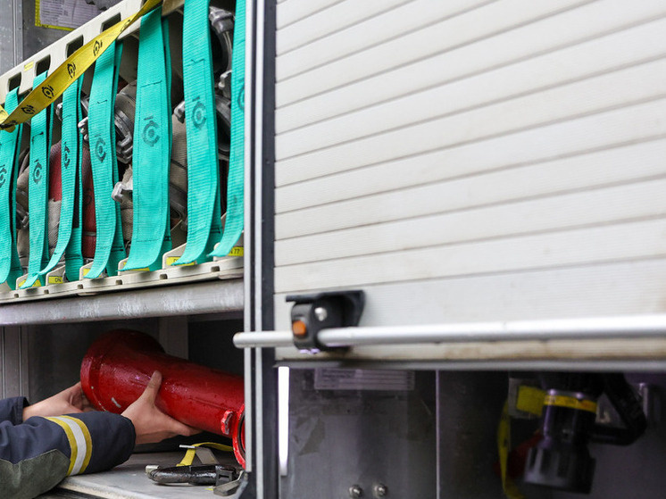     Фото: Roman Naumov/URA.RU/ Global Look Press