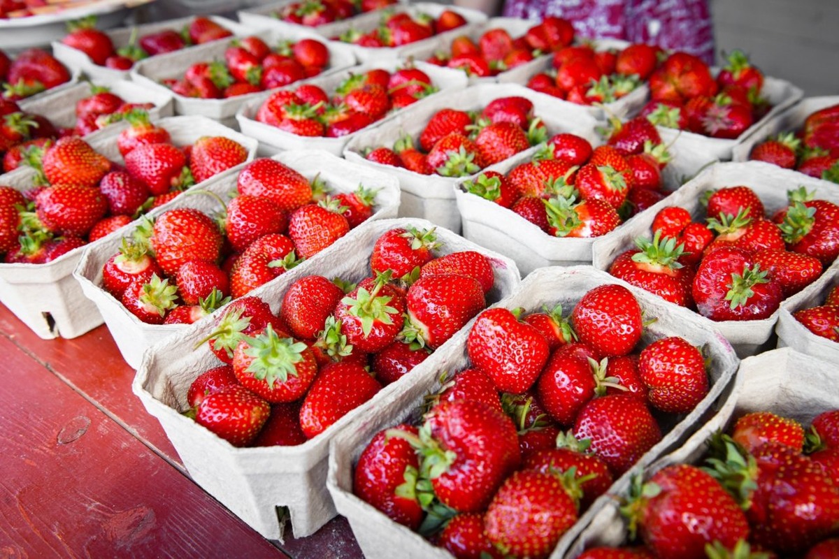    Фото: "Республика"/ Оксана Кудряшова