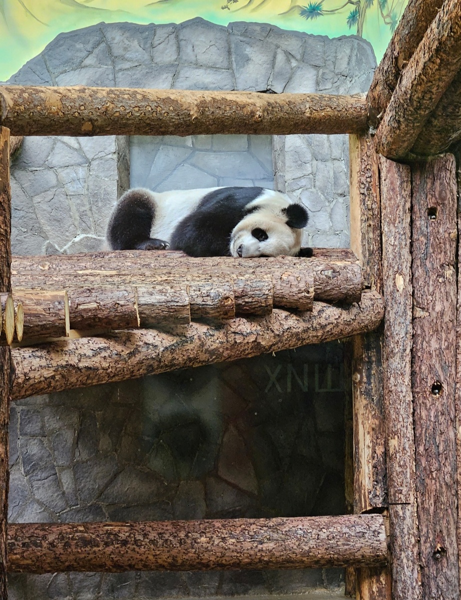 Уставшая мама Диндин, которой маленькая Катюша не давала спать по ночам. 