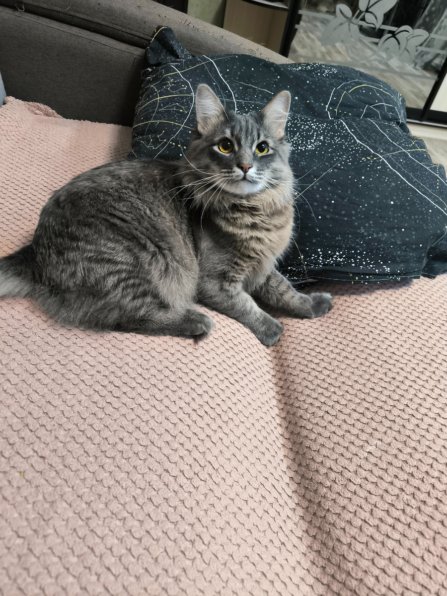 Все фотографии в статье авторские. 