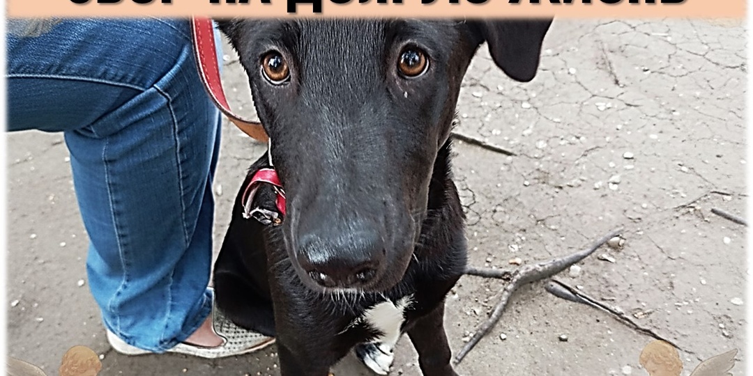 Помогите Найде обрести счастливую жизнь без долгов! 🙏 (Осталось собрать 2400 руб)