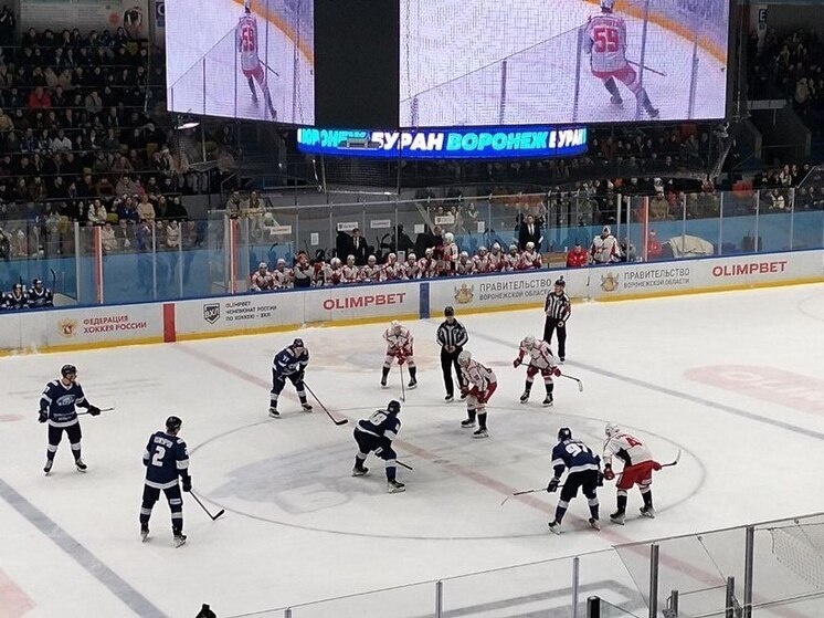     Фото: Илья Романов