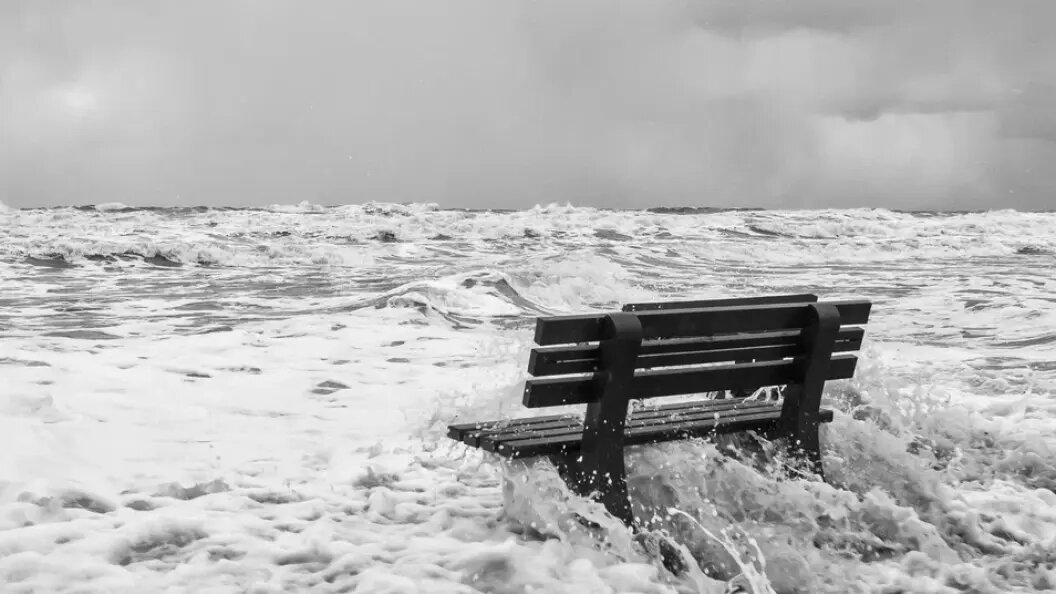    Фото: shutterstock